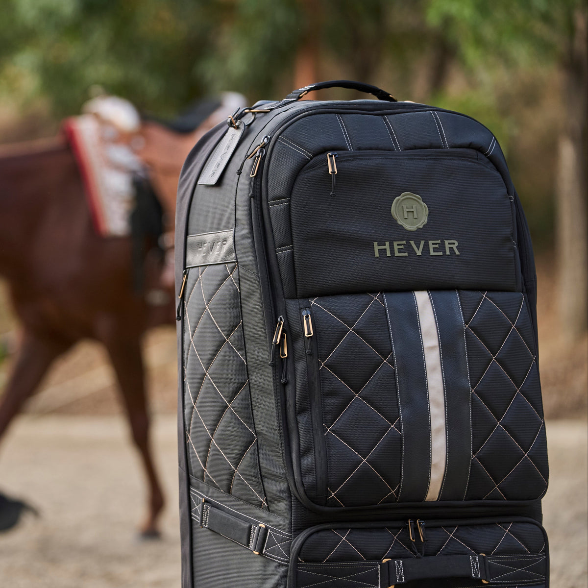 One Weekend. Every Class. One Bag Built for the AQHA All-Around.